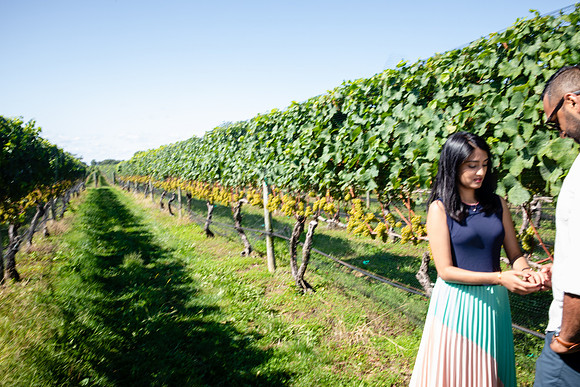pellegrini vineyards-engagement shoot-longisland-newyork-placidmedia-proposal shoot (50)