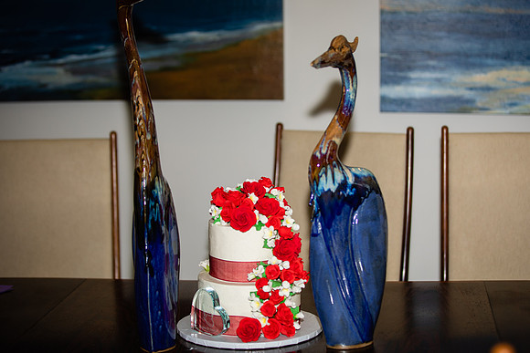 2507 punjabi-traditional-fun-loving-wedding-photographer-cake-centereach-with-beutiful-bride-groom--backyard-wedding-ceremony- longisland-wedding-pictures